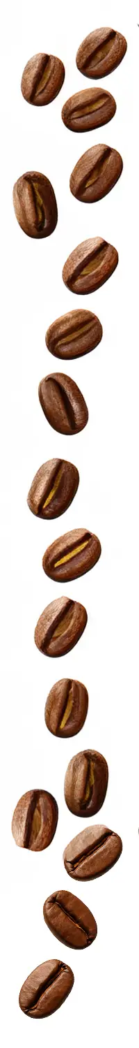 beans nigg